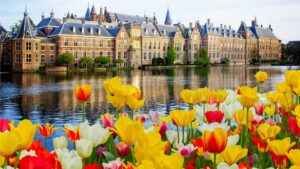 The Hague Lures Chinese Tourists with Family-Friendly Travel and Museums