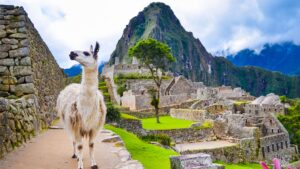 Report: Chinese Tourism to South America