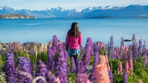 Travel Hacks: New Zealand Disappointed in the Number of Chinese Arrivals, and More Chinese Travel Trends