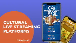 Decoded: China’s Livestreaming Platforms | Part Two